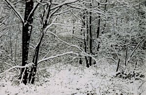 Gr.Winterlandschaft_Farbholzschnitt 52,5x82cm